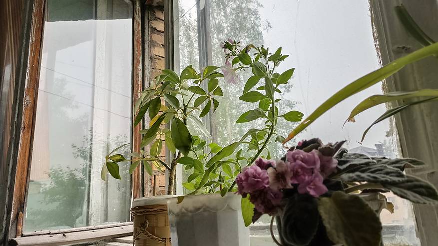 Главная картинка новости: С 14 октября запретят установку пластиковых окон: придется забыть о замене - какие нюансы ждут россиян