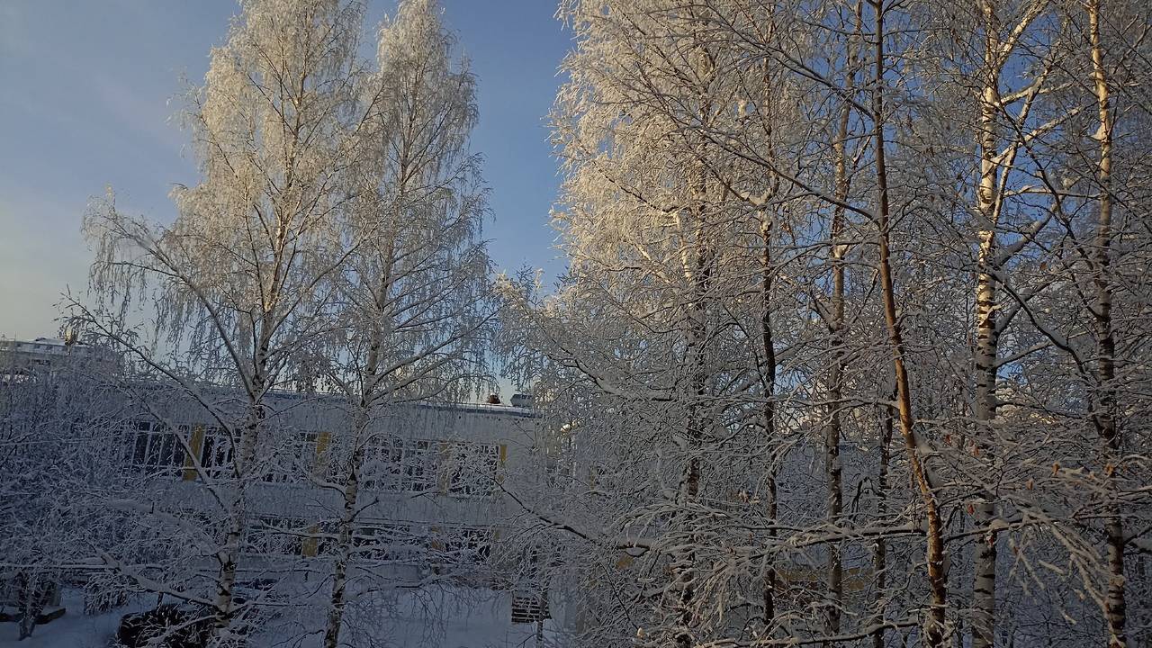 Главная картинка новости: «В декабре наступит тихий ужас». Синоптики объяснил, как начнется зима