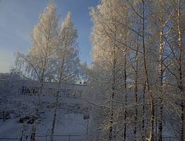 «В декабре наступит тихий ужас». Синоптики объяснил, как начнется зима