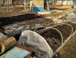 Дачников предупредили, что надо успеть сделать с огородом до конца октября