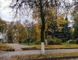 Необычно тёплая неделя в конце октября: погода удивляет жителей Коми