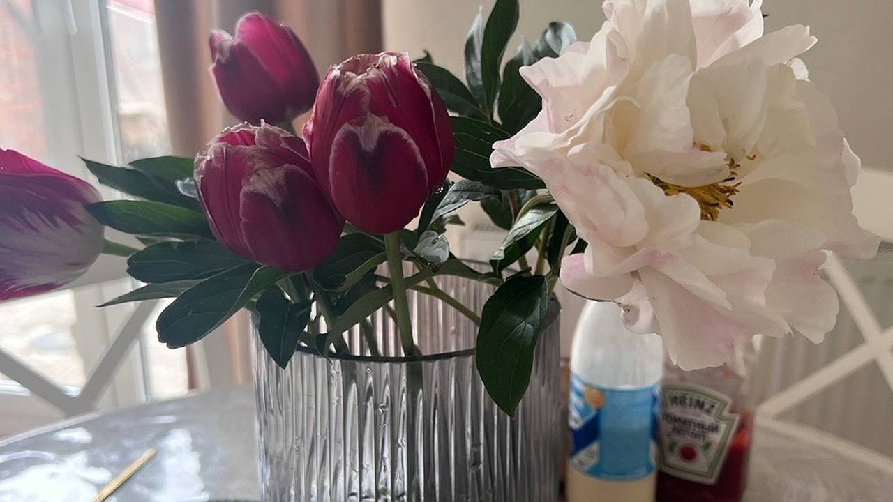 Главная картинка новости: Самый популярный домашний цветок, оказывается, приносит в дом несчастье и горе