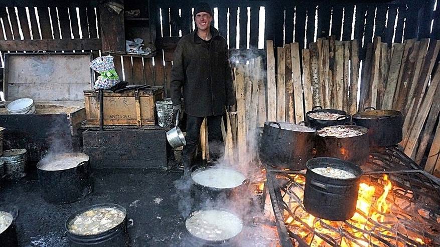 Главная картинка новости: Сыктывкарский приют для собак может остаться без поваров