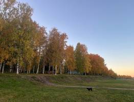 «Начнется 23 октября и будет 23 дня подряд». Синоптики назвали неожиданный прогноз