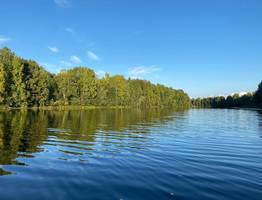Моржи в Коми провели открытие сезона зимнего плавания