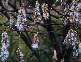 Синоптики рассказали о погоде в Коми на сегодня, 22 октября