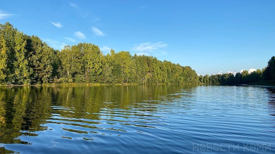 Моржи в Коми провели открытие сезона зимнего плавания