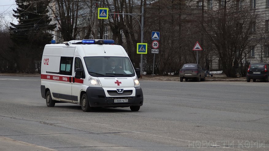 В Коми бродячая собака напала на пенсионерку и покусала ее