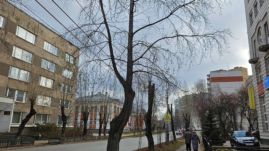 Главная картинка новости: На российские регионы движется похолодание с 25 октября - новый прогноз на неделю