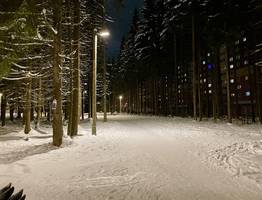 «Поступила новая информация». Синоптики резко изменили прогноз на ноябрь