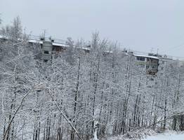 Синоптики пообещали всем один из самых холодных ноябрей за последние десятилетия