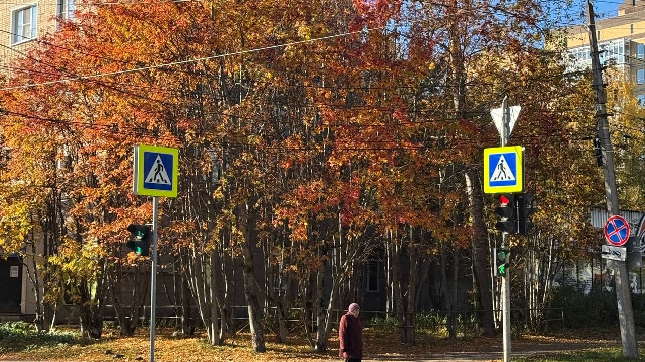 Главная картинка новости: Вильфанд: В регионах ожидаются положительные погодные аномалии