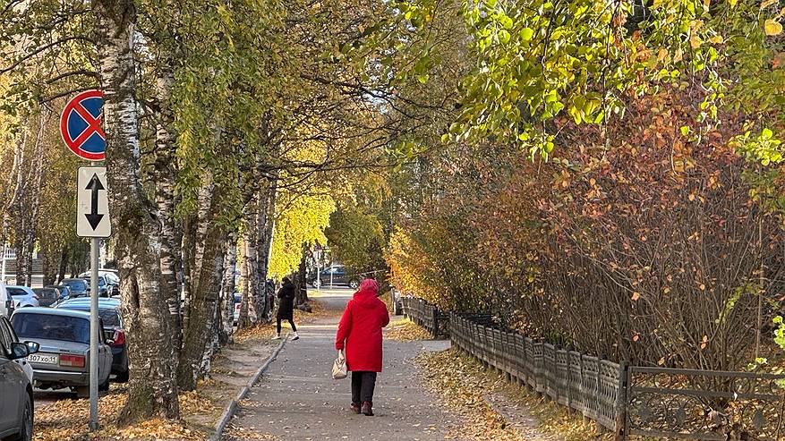 Главная картинка новости: Климат «раскачался»: впереди нас ждут волны жары и метелей