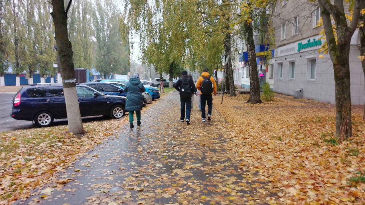 Главная картинка новости: День года для трех: Володина назвала знаки, которым выпадет единственный шанс один на миллион