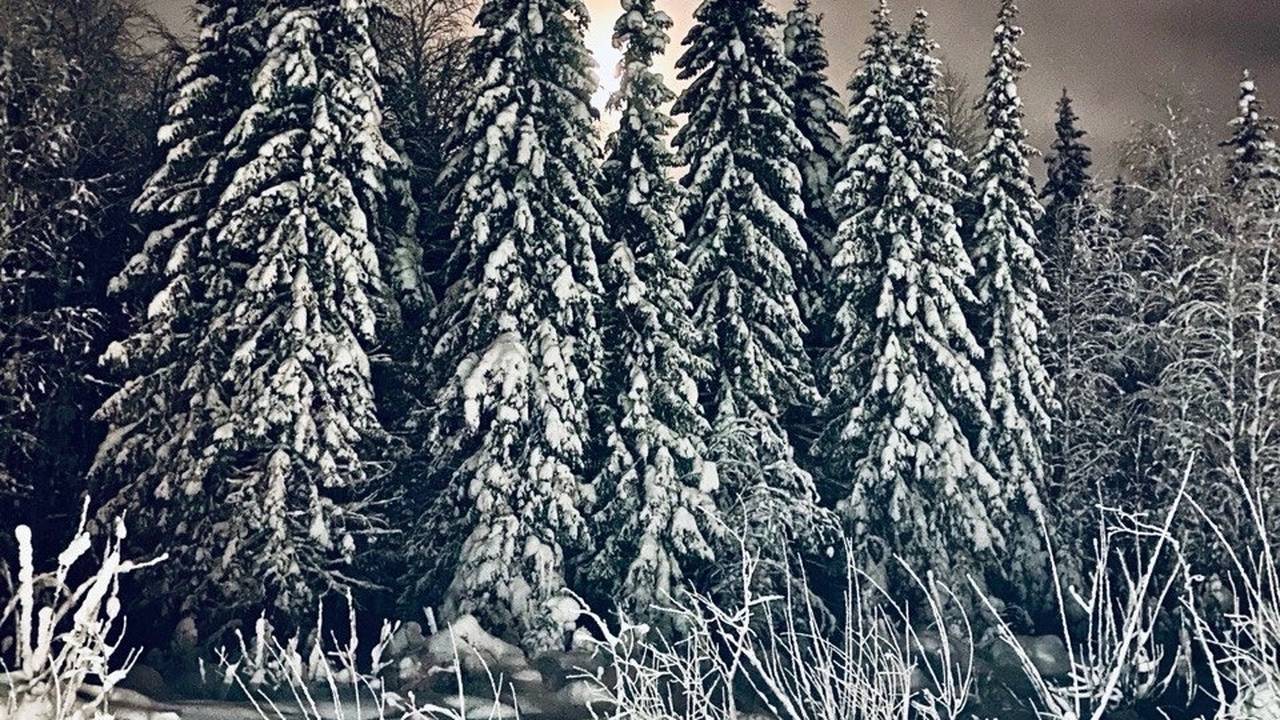 Главная картинка новости: Зима начнётся не 1 декабря: Синоптик назвал дату, когда ждать снега