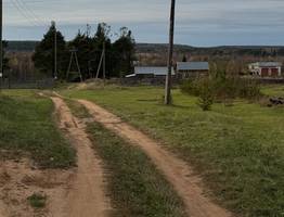 Снега не будет: в центральных регионах России ожидается аномальное потепление