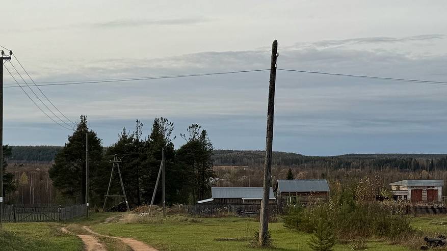 Главная картинка новости: Снега не будет: в центральных регионах России ожидается аномальное потепление
