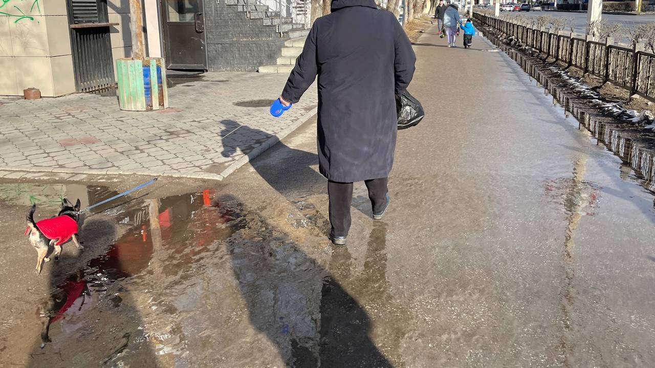 Главная картинка новости: «С воскресенья станет бесплатным для каждого пенсионера». Новая льгота вводится для всех с 30 октября