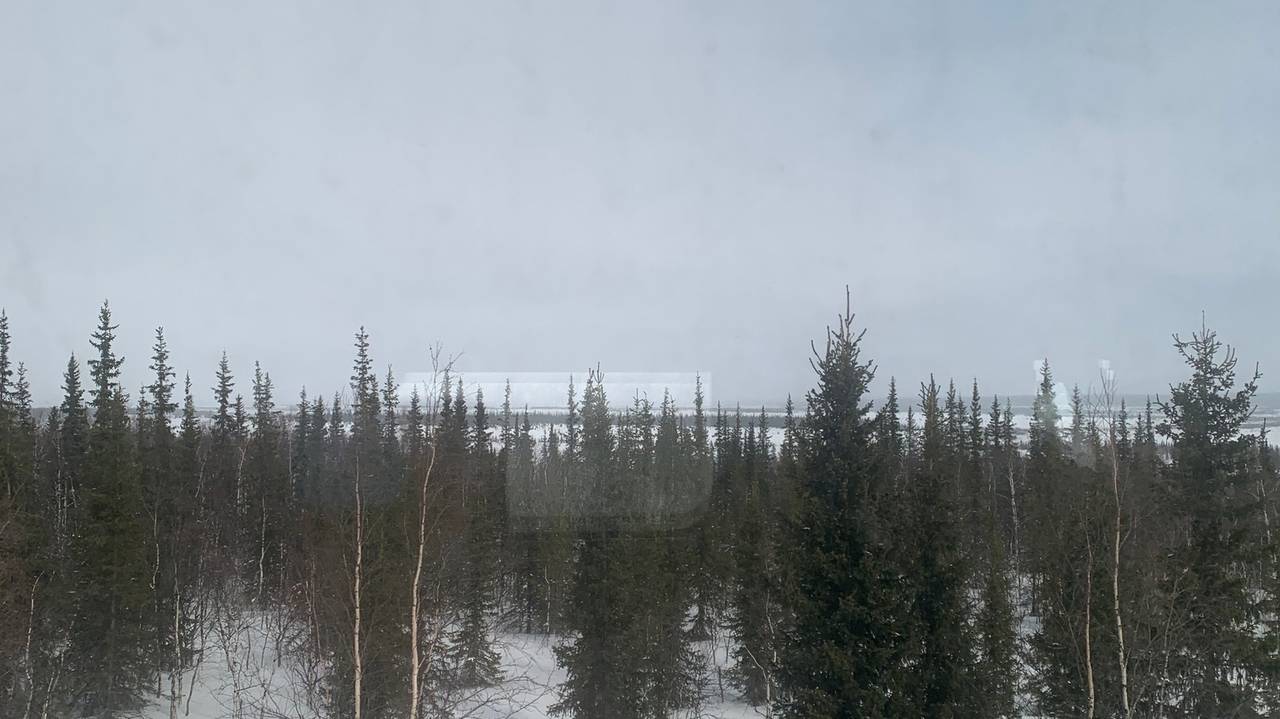 Главная картинка новости: Такого не было с 1963 года: погодная аномалия накрыла всю территорию России