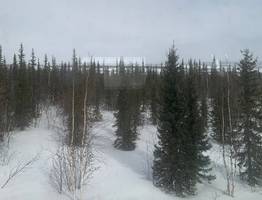 Такого не было с 1963 года: погодная аномалия накрыла всю территорию России