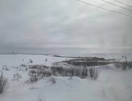 «Весь ноябрь будет аномальным». Синоптики наконец дали прогноз на конец осени