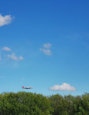 Летавший ранее в Коми самолет Ан-2 совершил жесткую посадку в Ставрополье