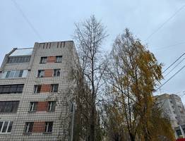 Синоптики рассказали о погоде в Коми на сегодня, 30 октября