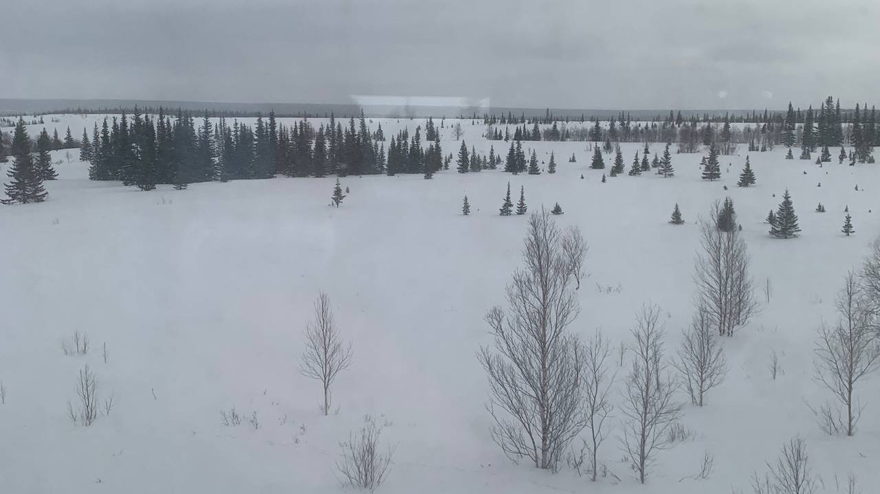 Главная картинка новости: «Поступили новые данные, и от них становится страшно». Синоптики сказали новый прогноз на ноябрь