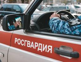 Силовики задержали жителя Коми, разгуливавшего в кафе в нижнем белье