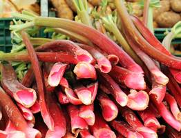 Овощ, который убивает почки: в Европе от него отказались, а в России до сих пор едят и не жалуются