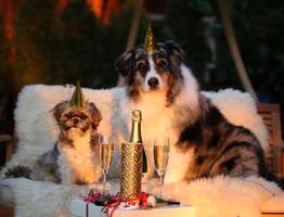 Как можно встретить Новый год под любимую сцену из фильма