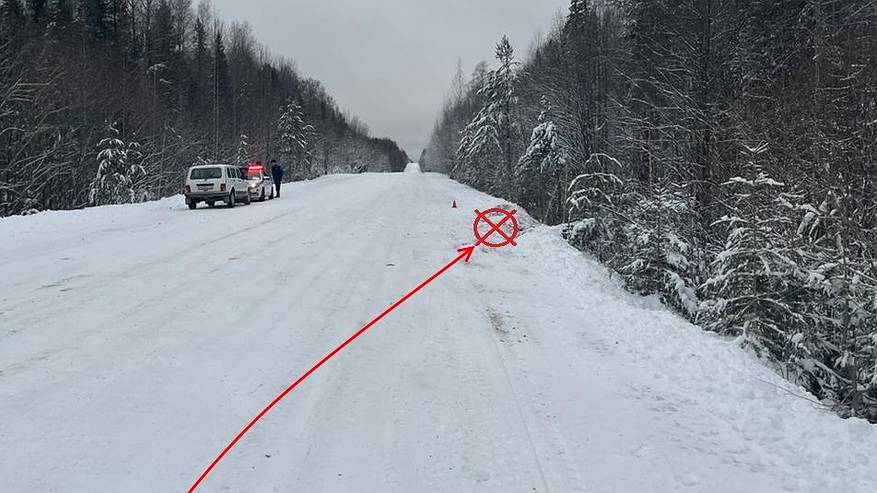 Главная картинка новости: 3 женщины пострадали из-за опрокидывания санитарного УАЗа на трассе в Коми