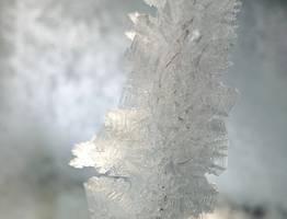 Зима похоронит Россию под снегом: ноябрь отличится экстремальными морозами и злыми метелями - новый прогноз Вильфанда