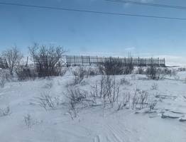 Синоптики рассказали о погоде в Коми на сегодня, 10 ноября