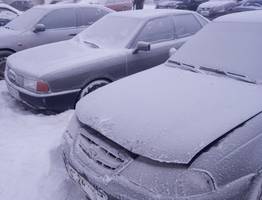 «Зимой начнется то, чего не было с 1772 года». Синоптики дали очень тревожный прогноз