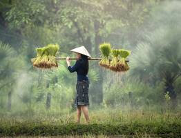 Сколько стоит жить или отдыхать во Вьетнаме в 2024 году: цены в разных городах и полезные советы
