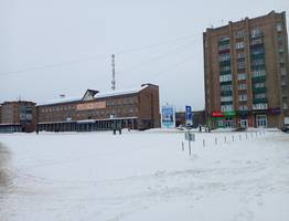 Зима в России пока отступает надолго: Роман Вильфанд поставил точку в вопросе, ждать ли снега на Новый год