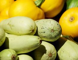 Салаты из кабачков на зиму: 10 простых и очень вкусных вариантов