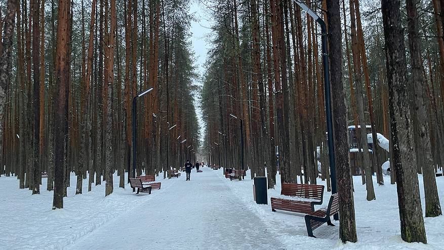 Главная картинка новости: «Декабрь, январь и февраль будут сумасшедшими». Синоптики дали новый удручающий прогноз