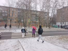 20 ноября Коми завалит мокрым снегом