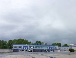 Сыктывкарка попыталась вывезти в Турцию 20 кг свежезамороженной семги