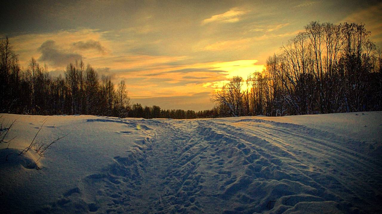 «Декабрь, январь и февраль устроят нам страшную подставу». Синоптики удивили новым прогнозом на зиму