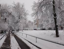 В пятницу в Коми повалит небольшой снег