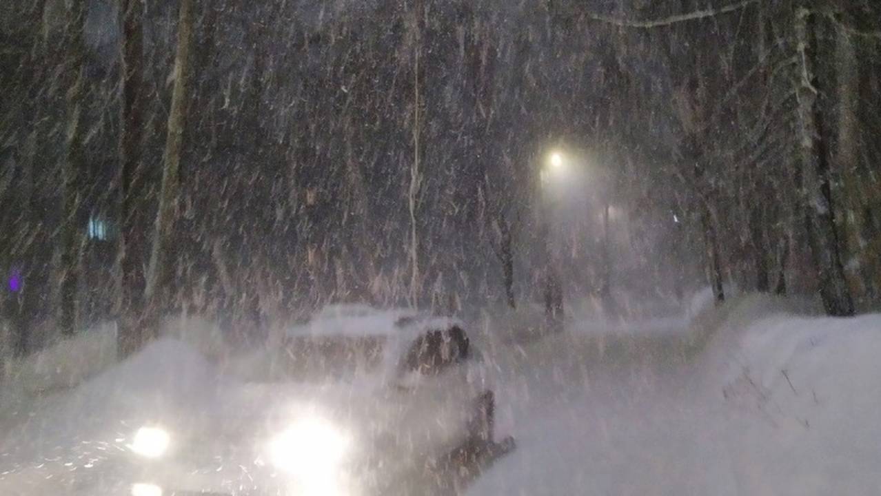 Снег, ветер и метель: синоптики предупредили жителей Коми