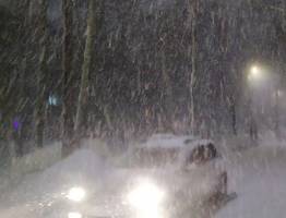 Снег, ветер и метель: синоптики предупредили жителей Коми