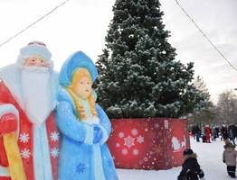 Стало известно, во сколько обойдется жителям Коми сруб новогодней елки