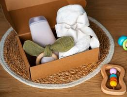 Коми сохраняет социальную поддержку семей с новорожденными: программа "Подарок новорожденному" продлена на 2025 год