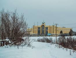 «Начнется 6 декабря и будет 43 дня подряд». Синоптики дали новый прогноз