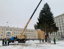 В столицу Коми приехала главная новогодняя елка республики