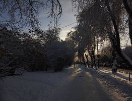 Синоптики рассказали о погоде в Коми на сегодня, 6 декабря